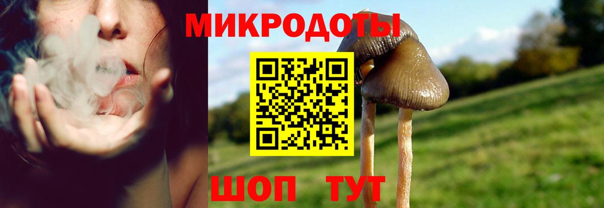 Галлюциногенные грибы MAGIC MUSHROOMS Азнакаево